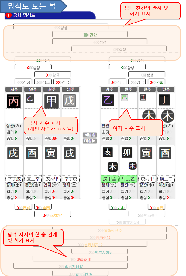 사주풀이도우미